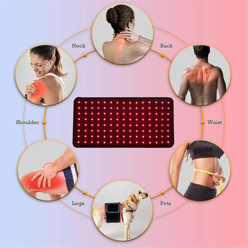 Pain Relief Red LED Therapy Light Animals Treatment Skin Beauty Products Handheld Light Therapy for Pets