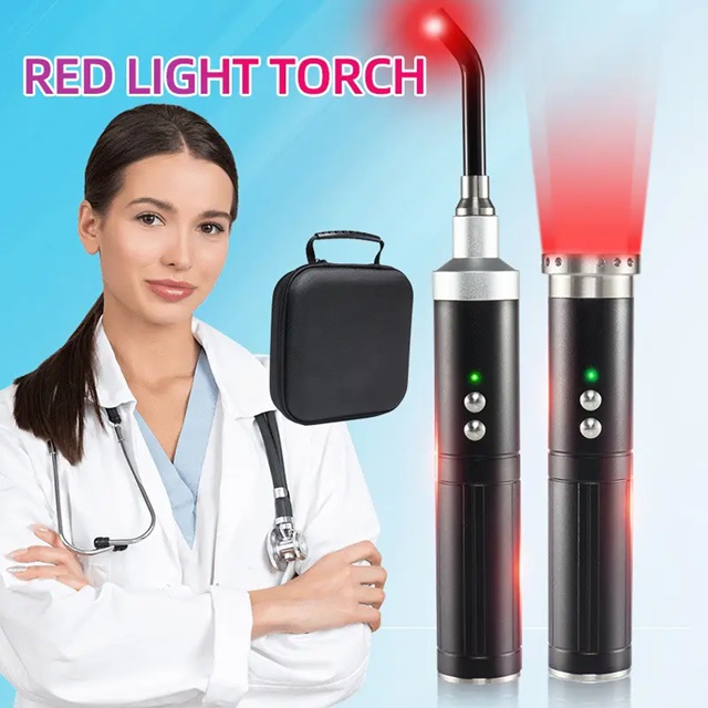 Handheld Red Light Therapy Pen Pain Relief Infrared Pulse Function Led Light Therapy Lamp Flashlight